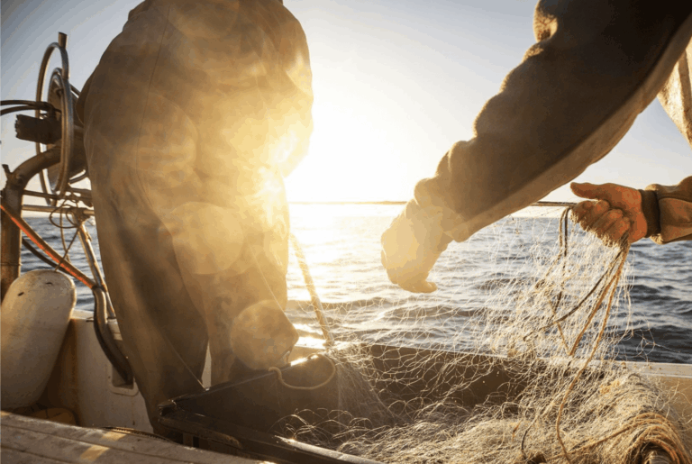 Fisherman on a ship fishing for sustainable seafood